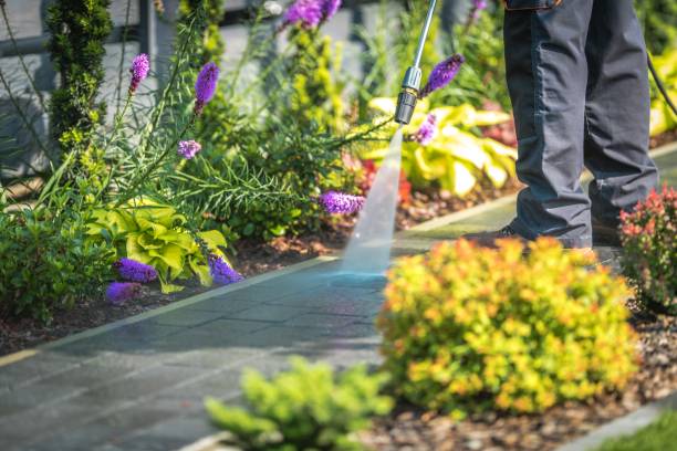 Riverside, CA Pressure Washing Services Company