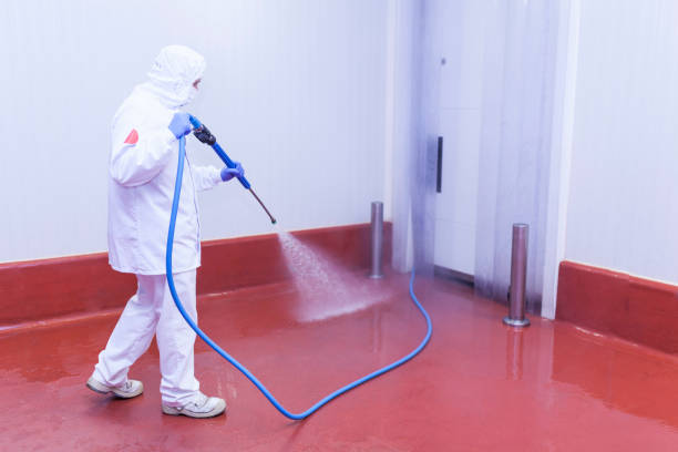 Best Soft Washing  in Riverside, CA